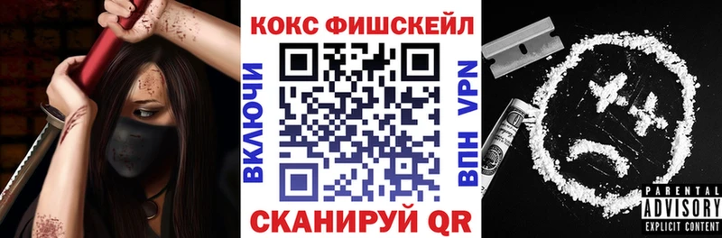 Кокаин Fish Scale закладка Кудрово