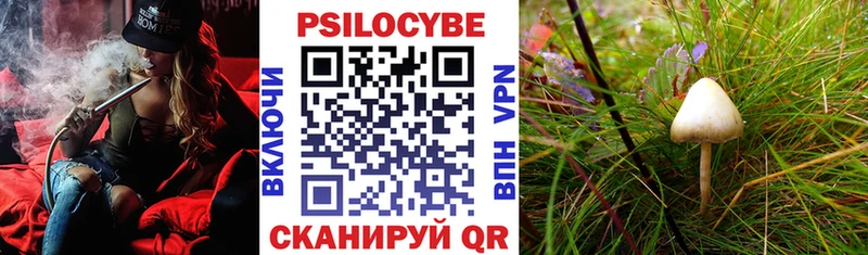 KRAKEN маркетплейс  Кудрово  Галлюциногенные грибы мухоморы  где можно купить  